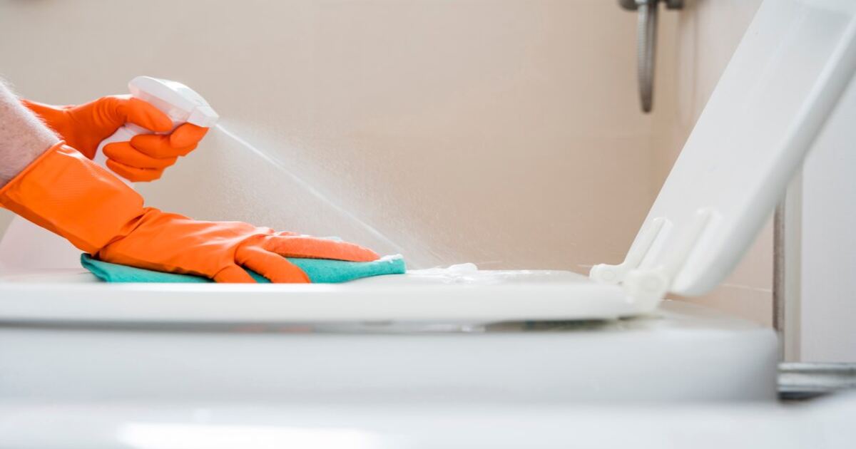 How to Remove Rust Stains in Toilets & Sinks