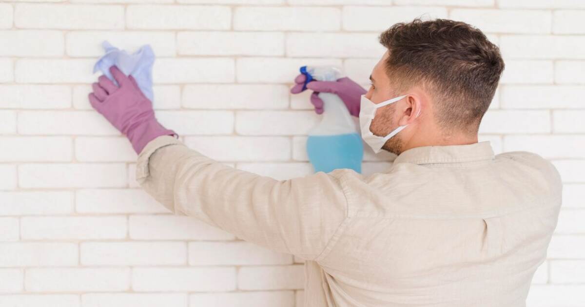 Quick and Easy Mould Cleaning for Your Wall Surfaces