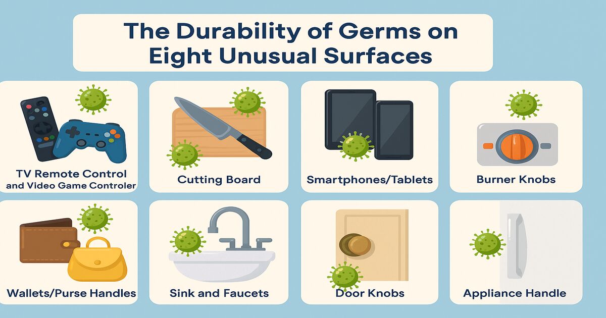 The Durability of Germs on Eight Unusual Surfaces