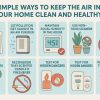 Simple Ways to Keep the Air in Your Home Clean and Healthy