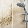 The Best Shower Cleaners for Mould, Mildew, and Soap Scum