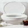 Effective Ways to Remove Stains in the Toilet Bowl